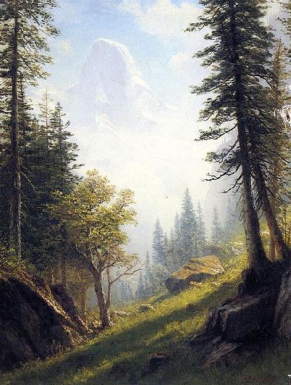 Albert Bierstadt Among the Bernese Alps oil painting image